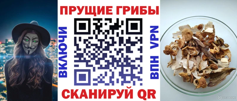 кракен онион  Углегорск  Псилоцибиновые грибы мухоморы 